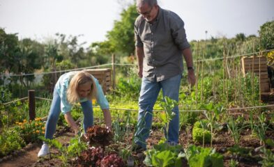 Helping Older Clients Manage Mortgage Pressure Through Equity Release